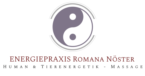 Energiepraxis-Noester-Logo