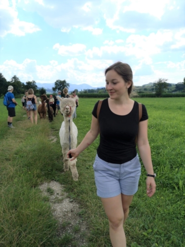 Bild 14